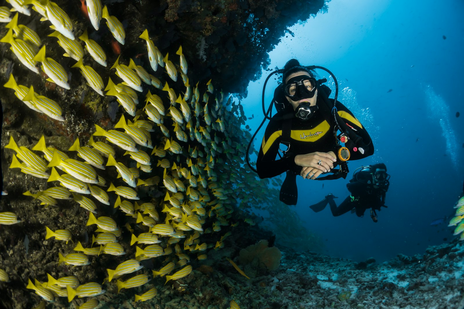 East Coast Snorkeling with Giant Mantas